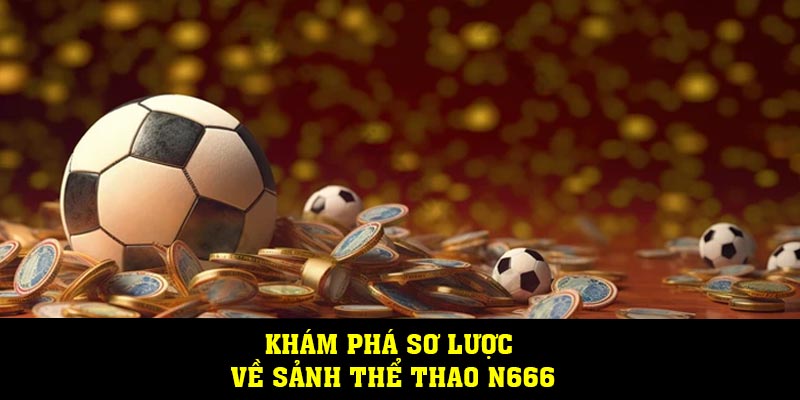 Khám phá sơ lược về sảnh thể thao N666